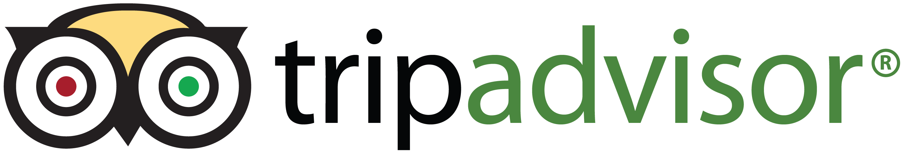 PTripadvisor Logo