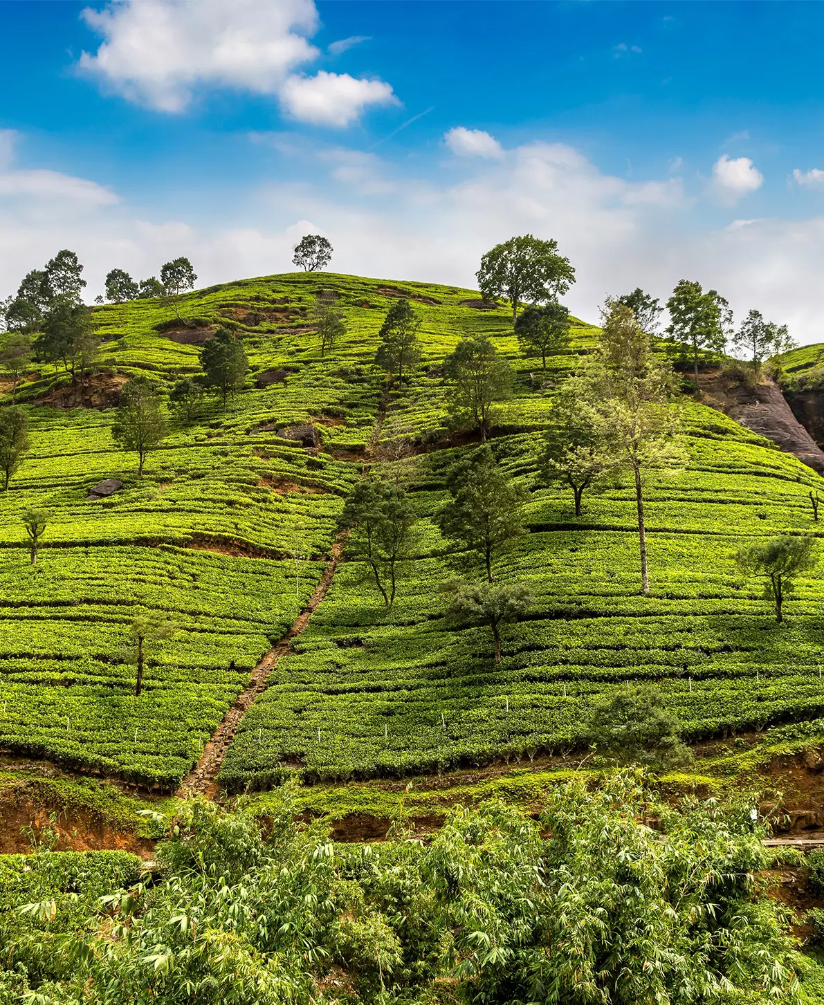 NUWARAELIYA